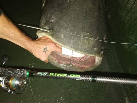 Zeck Fishing (@zeckfishing) • Instagram photos and videos.
